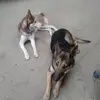 EdMan - @edmann - TikTok