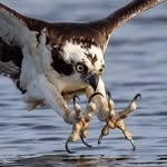 Edmann P Kalola - @edmannp - Instagram