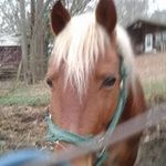 Ed Manning - @ed.manning.54738 - Instagram