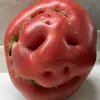 edymarkel - @edymarkel - TikTok