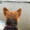 Eddie.Marrs - @eddie.marrs - TikTok