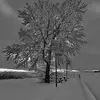 edmathers975 - @edmathers975 - TikTok
