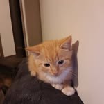Ed Matheson - @ed.ginga - Instagram
