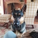 Ed Matheson - @edmatheson99 - Instagram
