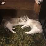 Ed Mathews - @edmathews65 - Instagram
