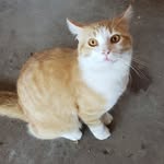 Ed Mayberry - @emaybe4u2.0 - Instagram