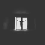 Ed McArdle - @king_of_porgs - Instagram