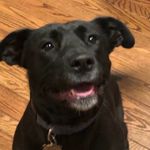 Ed McBride - @emcbride213 - Instagram