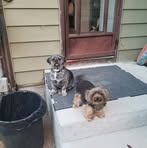 Ed McCracken - Facebook