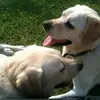 Edward.McCracken - @edward.mccrack3n - TikTok