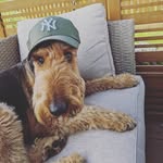 Edward McCready - @teddy_edward53 - Instagram