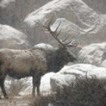 Ed Mcculloch - @muddigger1967 - Instagram