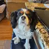 Eddie McDougall - @eddie.mcdougall3 - TikTok