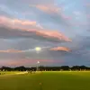 eden - @eden.mcdougall - TikTok