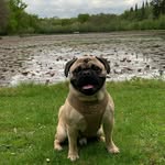 Ed McGee - @edthefrug - Instagram