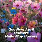 Edita McGregor - Facebook