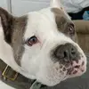 Edna McMullen - @edna.mcmullen8 - TikTok