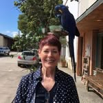 Denise D. McNulty - @deni.sedmcnulty - Instagram
