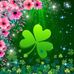 Ed Kathi McNulty - Facebook