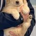Ed Mcnulty - Facebook