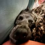Henry mcnulty - @henry.ed.mcnulty2 - Instagram