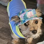 Assyla Sdrawde - @mcquistonedwards - Instagram