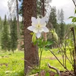 Ed Meacham - @emeacham - Instagram