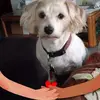 ednamendenhall - @ednamendenhall - TikTok
