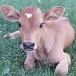 Ed Merrill - @ed.merrill.7 - Instagram