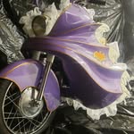 Ed Merrill - @batgirlcycle - Instagram