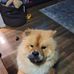 Ed Miguel - Facebook