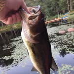 Ed Millette - @68millette - Instagram