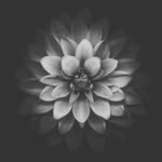 edm International - @edm_international - Instagram