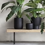 Elisa Demeester - @edm_interiordesign - Instagram