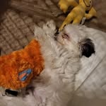 Eddie Ray Molitor - @molitoreddie - Instagram
