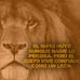 ED Morales - Facebook