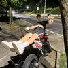 edoomorelli29 - @edoomorelli29 - TikTok
