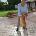 Luigi Ed Elvira Morelli - @luigi.morelli.167 - Instagram