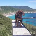 @ed._motta - Instagram