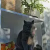 Ed Nava - @ed.nava13 - TikTok
