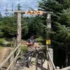edd.newland - @edd.newland - TikTok
