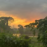 @edno.one - Instagram