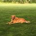 Ed Nusbaum - Facebook