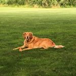 Ed Nusbaum - @ednusbaum - Instagram