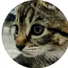 ednilma.oliveira48 - @ednilma.oliveira48 - TikTok