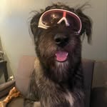 Eddie - @eddie_olmstead - Instagram