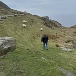 Ed Ostrander - @ed.ostrander.7 - Instagram
