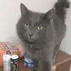 eddyleeostrander - @eddyleeostrander - TikTok