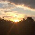 Ed Pacheco - @edpacheco3224 - Instagram