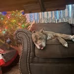 Ed Parrish - @wellsburgcolts - Instagram
